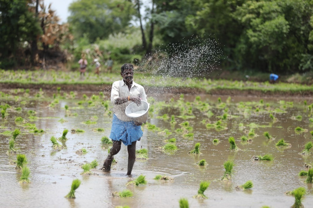 India's Rural Population